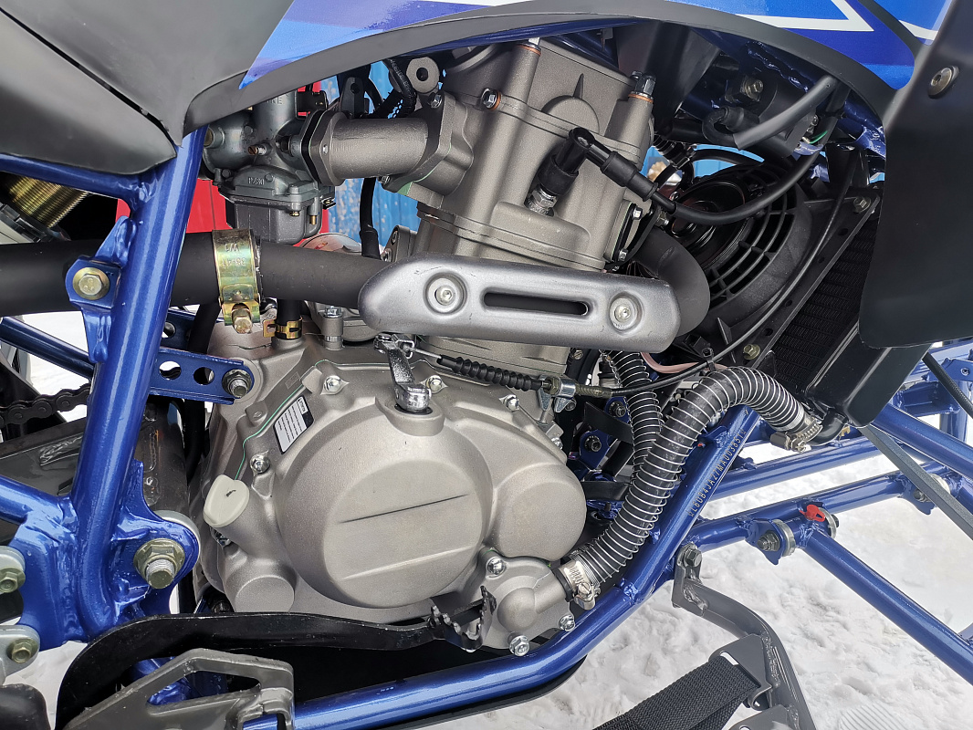 Квадроцикл PROMAX RAPTOR 300 NEW RedBull в Краснодаре