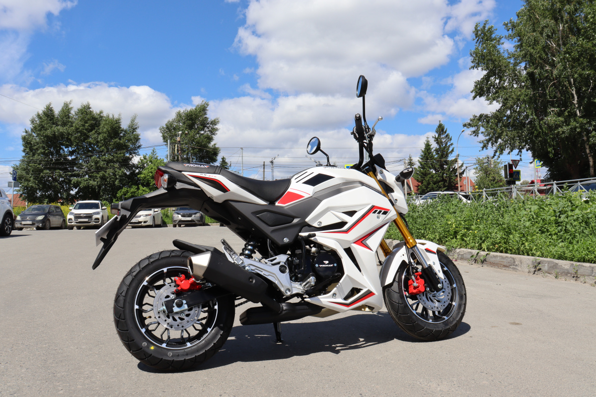 Мотоцикл PROMAX STRYKER 200(49) 2.0 в Краснодаре