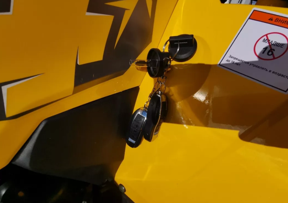 Квадроцикл MOTOLAND (МОТОЛЕНД) VOX200 WILD TRACK X PRO (баланс. вал) в Краснодаре