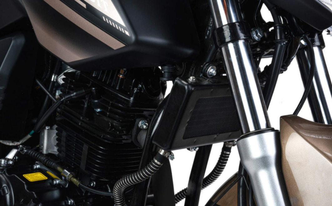 Мотоцикл MOTOLAND (МОТОЛЕНД) 300 BANDIT в Краснодаре