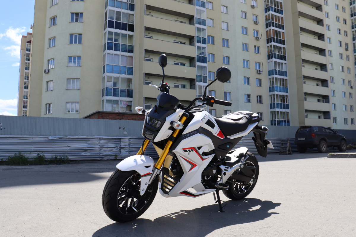 Мотоцикл PROMAX STRYKER 200(49) 2.0 в Краснодаре