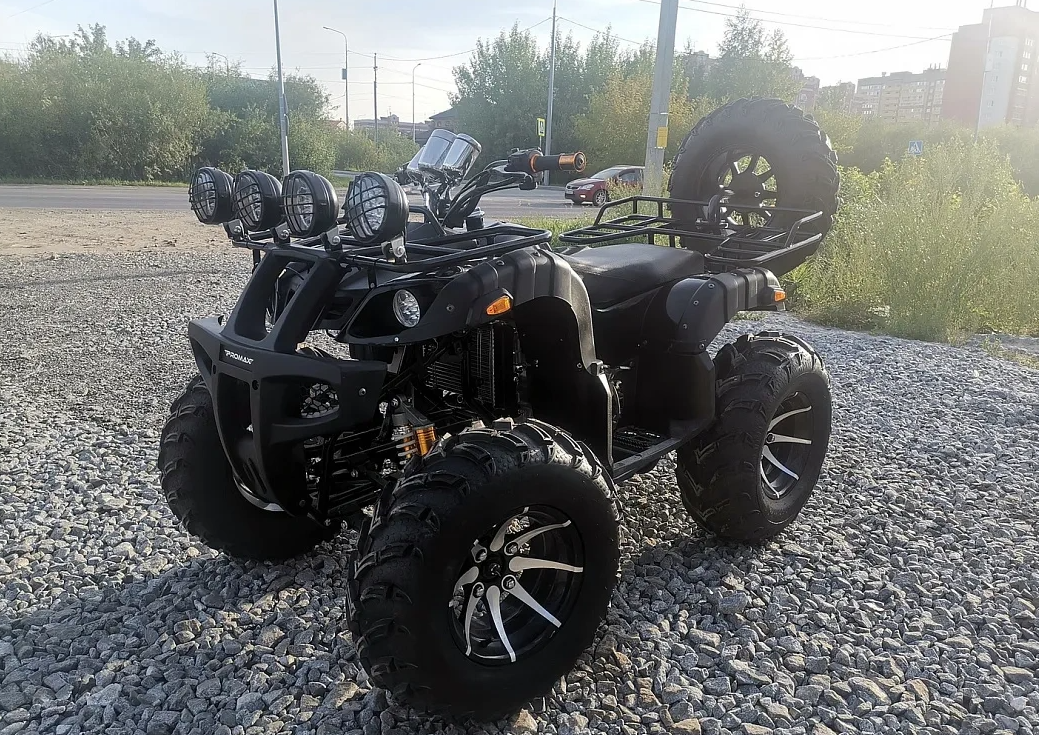 Квадроцикл PROMAX LEO 300 Max (кардан) в Краснодаре