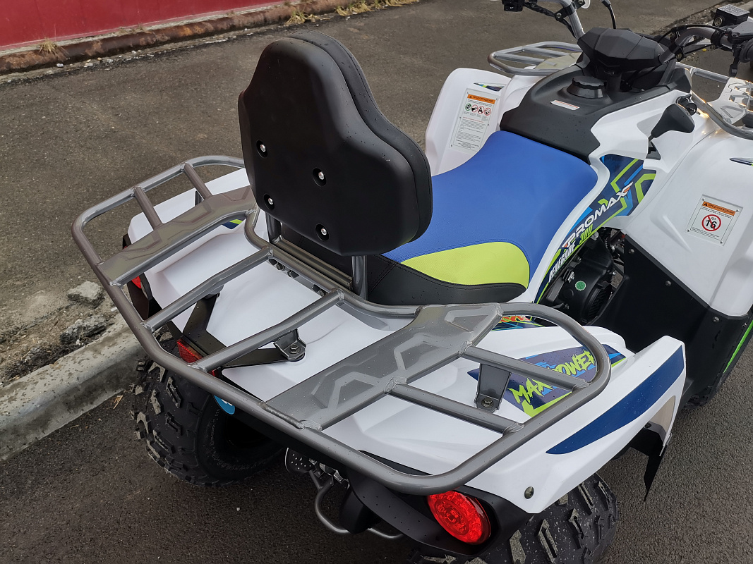 Квадроцикл PROMAX RENEGADE 280 LUX (2025) в Краснодаре