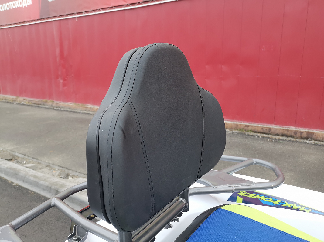 Квадроцикл PROMAX RENEGADE 280 LUX (2025) в Краснодаре