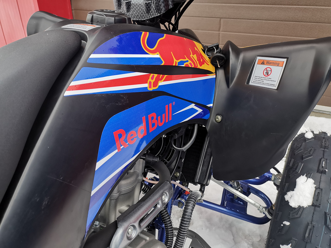Квадроцикл PROMAX RAPTOR 300 NEW RedBull в Краснодаре