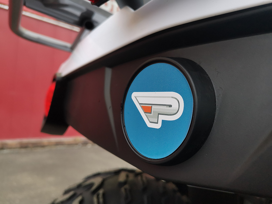 Квадроцикл PROMAX RENEGADE 280 LUX (2025) в Краснодаре