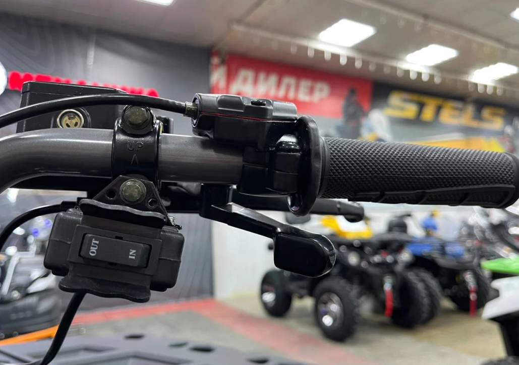 Квадроцикл PROMAX RENEGADE 300 LONG WINCH PRO (2025) в Краснодаре