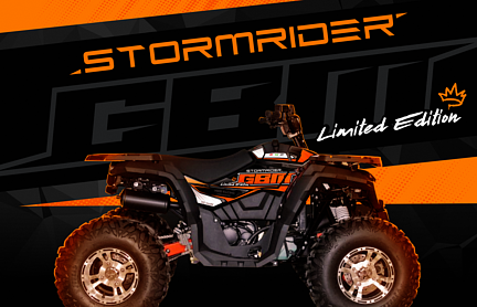 Квадроцикл GBM STORMRIDER 320 NEW LUX в Краснодаре