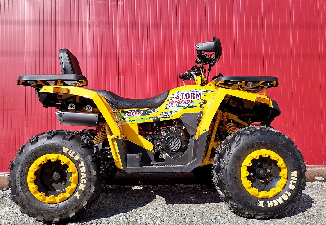 Квадроцикл PROMAX STORM 280 LUX в Краснодаре