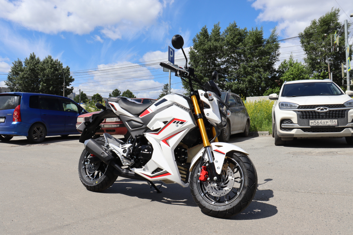 Мотоцикл PROMAX STRYKER 200(49) 2.0 в Краснодаре