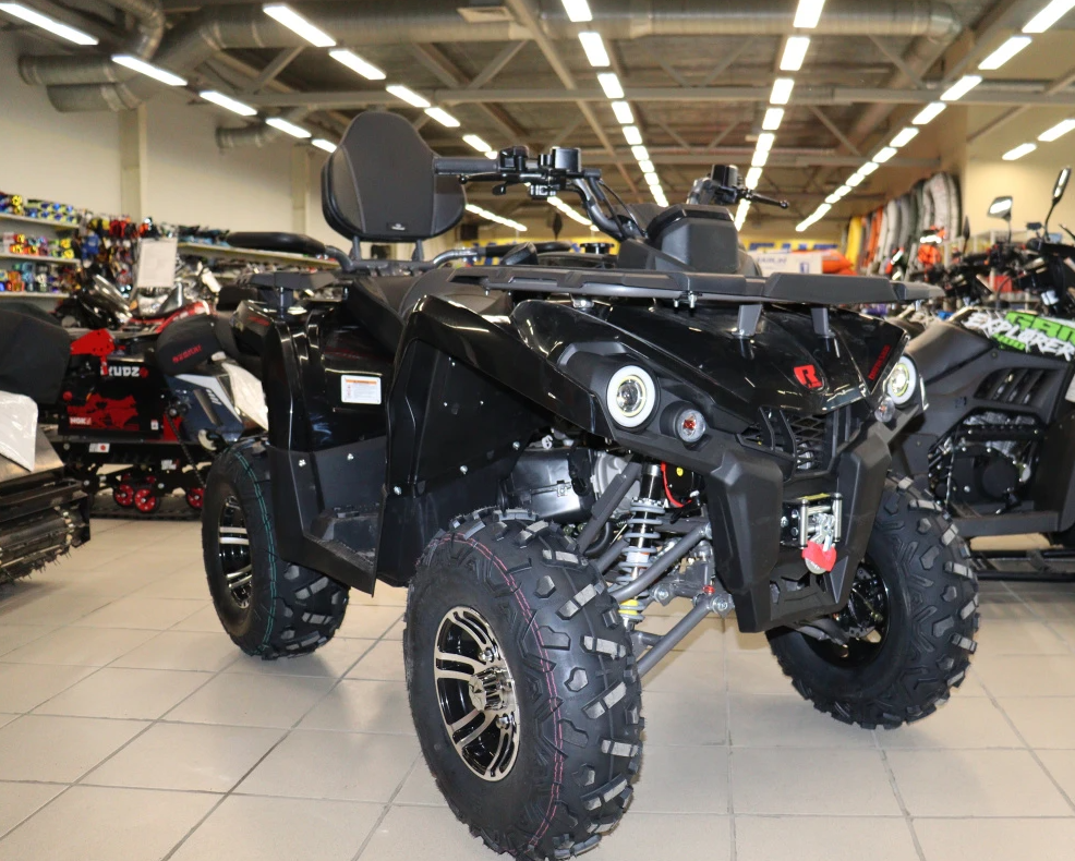 Квадроцикл PROMAX RENEGADE 300 LONG WINCH PRO (2025) в Краснодаре