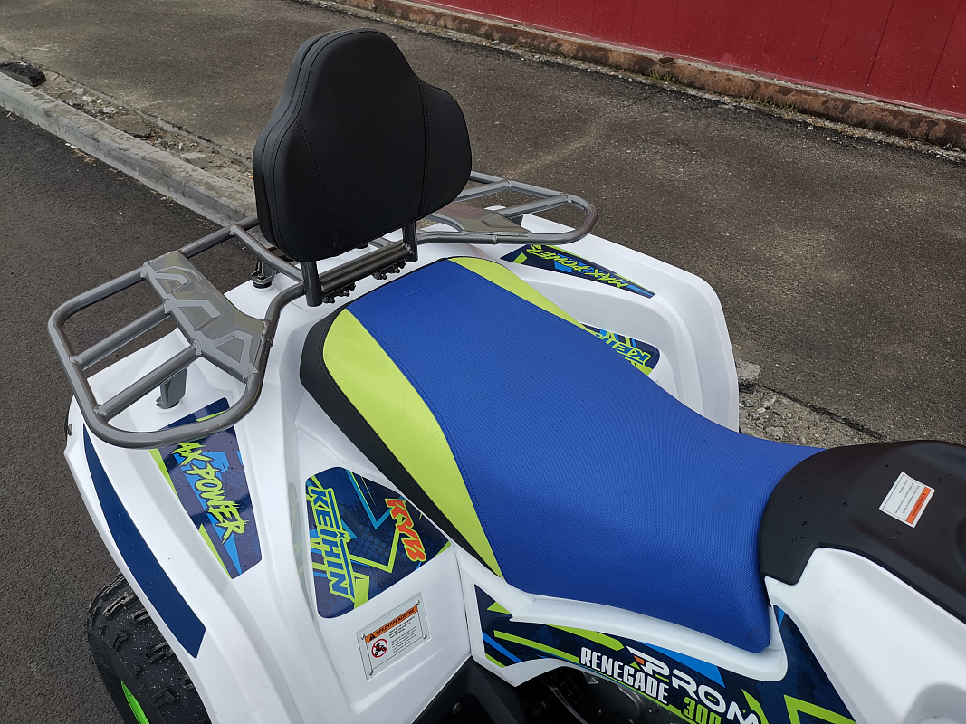 Квадроцикл PROMAX RENEGADE 280 LUX (2025) в Краснодаре