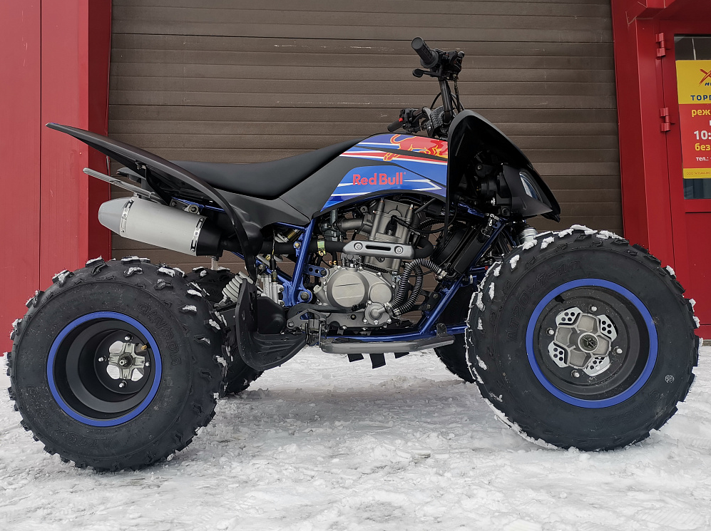 Квадроцикл PROMAX RAPTOR 300 NEW RedBull в Краснодаре