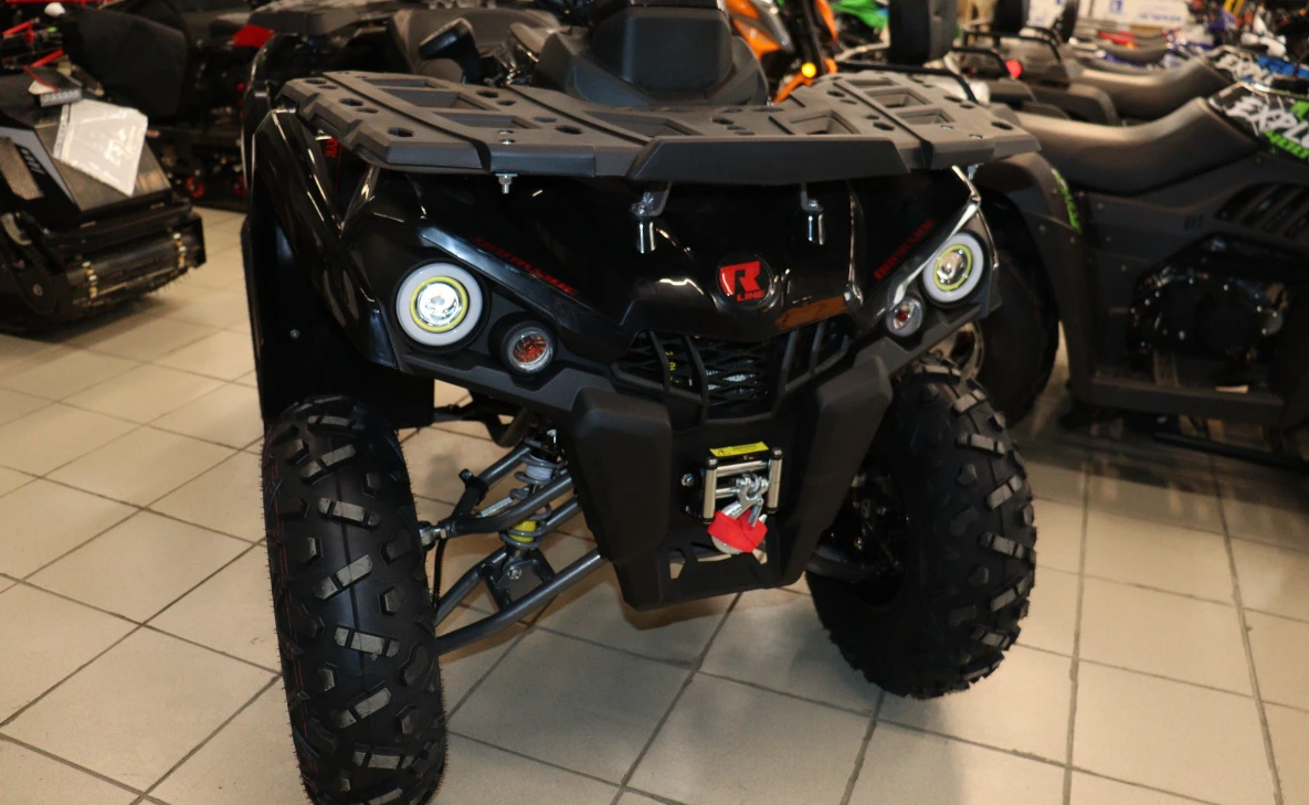 Квадроцикл PROMAX RENEGADE 300 LONG WINCH PRO (2025) в Краснодаре