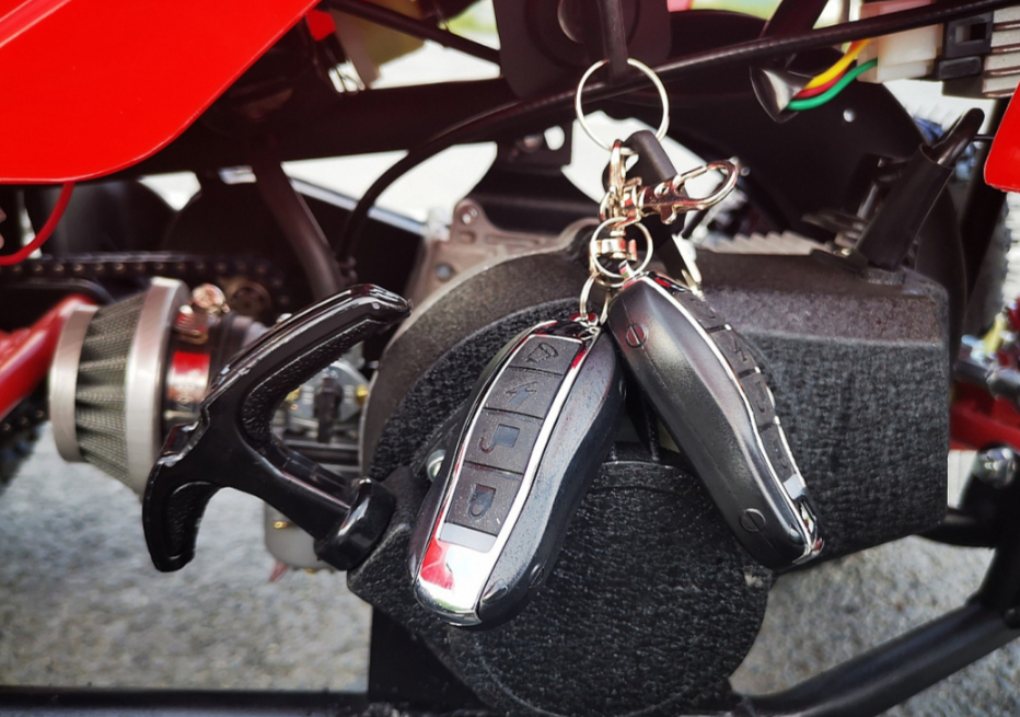 Квадроцикл PROMAX ATV MINI 2T 70CC р/с в Краснодаре