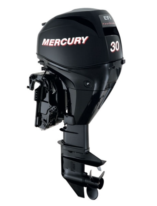 ЛОДОЧНЫЙ МОТОР MERCURY  F 30 ELH GA EFI в Краснодаре