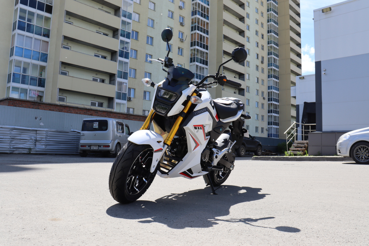 Мотоцикл PROMAX STRYKER 200(49) 2.0 в Краснодаре