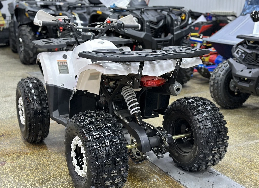 Квадроцикл PROMAX WILD 2.0 190 в Краснодаре