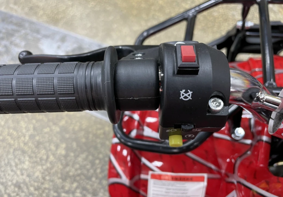 Квадроцикл PROMAX ATV MINI 2T 70CC р/с в Краснодаре