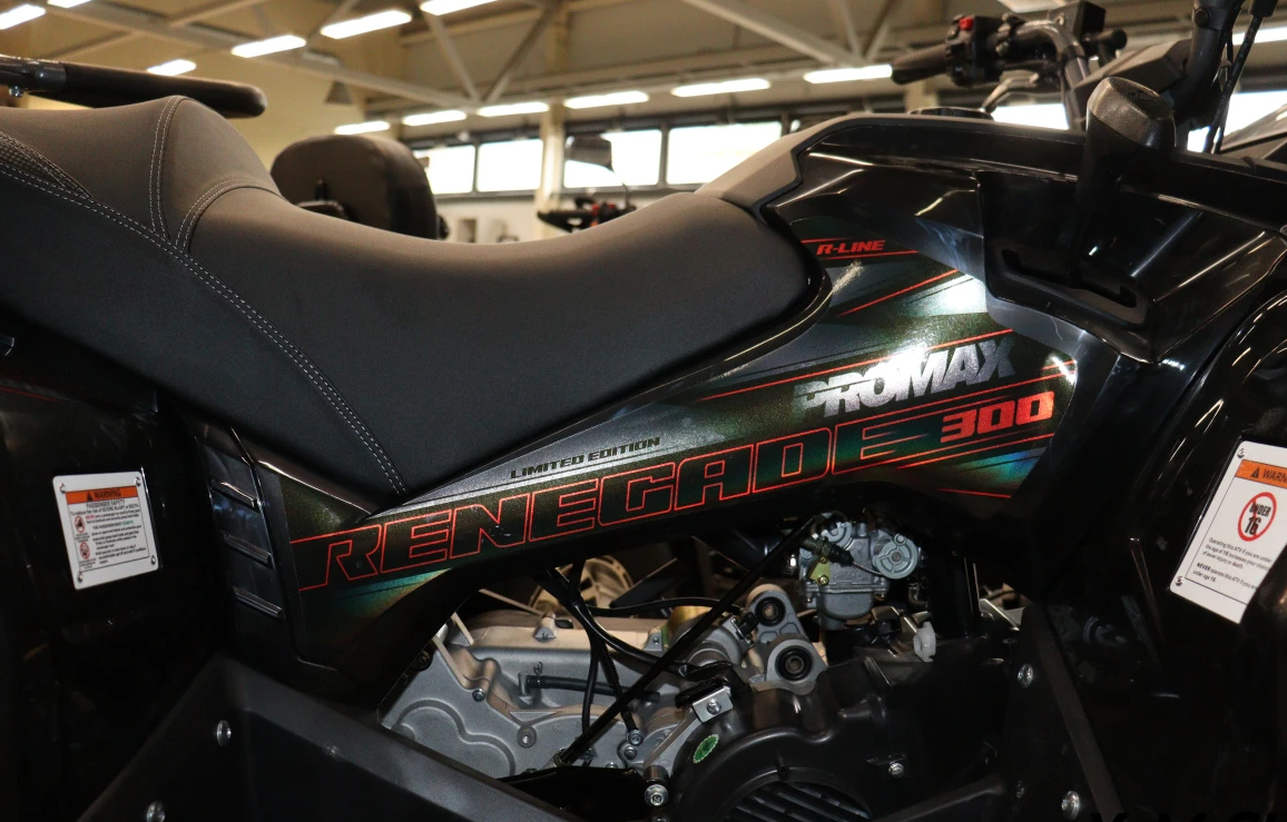 Квадроцикл PROMAX RENEGADE 300 LONG WINCH PRO (2025) в Краснодаре