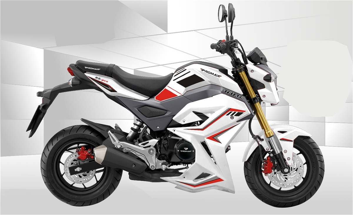 Мотоцикл PROMAX STRYKER 200(49) 2.0 в Краснодаре