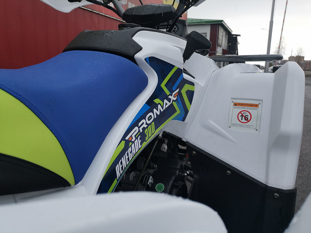 Квадроцикл PROMAX RENEGADE 280 LUX (2025) в Краснодаре
