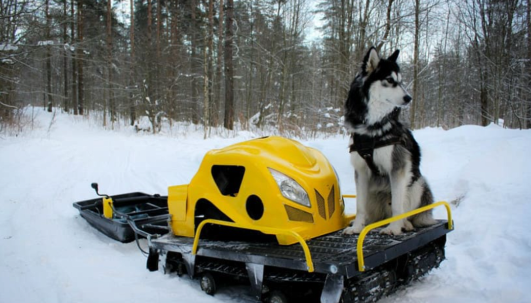 Мотобуксировщик LEBEDEV MOTORS ВОЛКОДАВ POWER V13 в Краснодаре