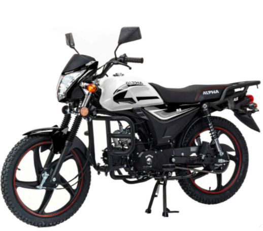 Мопед MOTOLAND (МОТОЛЕНД) Альфа RS 11 (LM48-B) в Краснодаре