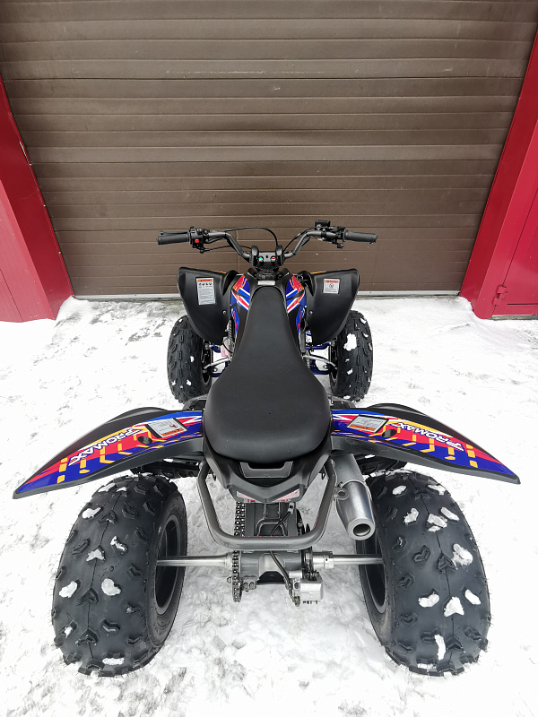 Квадроцикл PROMAX RAPTOR 300 NEW RedBull в Краснодаре