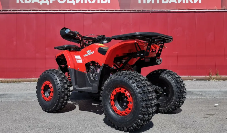 Квадроцикл PROMAX WILD 175 BASIC в Краснодаре