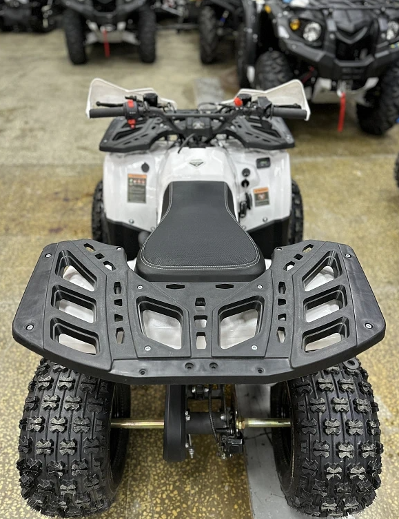 Квадроцикл PROMAX WILD 2.0 190 в Краснодаре