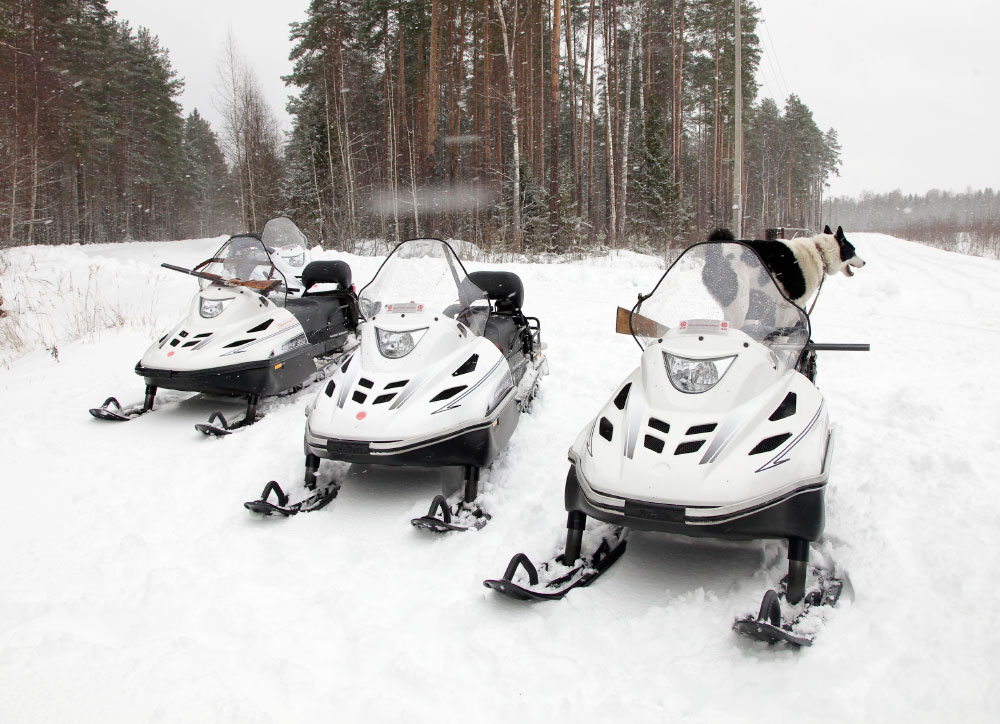 СНЕГОХОД РМ ТАЙГА ВАРЯГ 550 V в Краснодаре