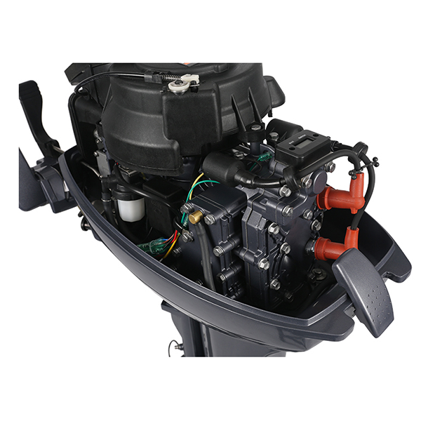 ЛОДОЧНЫЙ МОТОР ALLFA CG Т9,9 Limit в Краснодаре