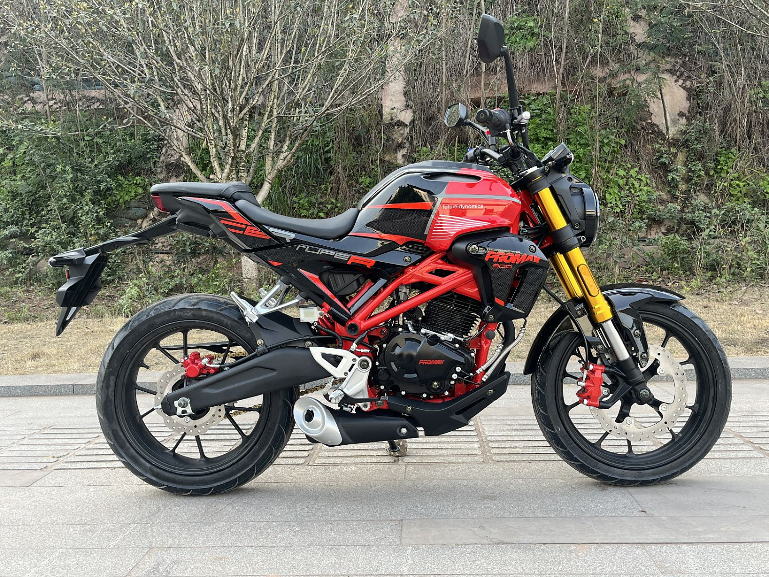 Мотоцикл PROMAX CB300 в Краснодаре