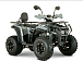 Квадроцикл YACOTA DRAGON LUX LD 150 PRO-SPORT в Краснодаре