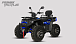 Квадроцикл PROMAX TAURUS 300 MAX-PRO LONG в Краснодаре