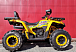 Квадроцикл PROMAX STORM 280 LUX в Краснодаре
