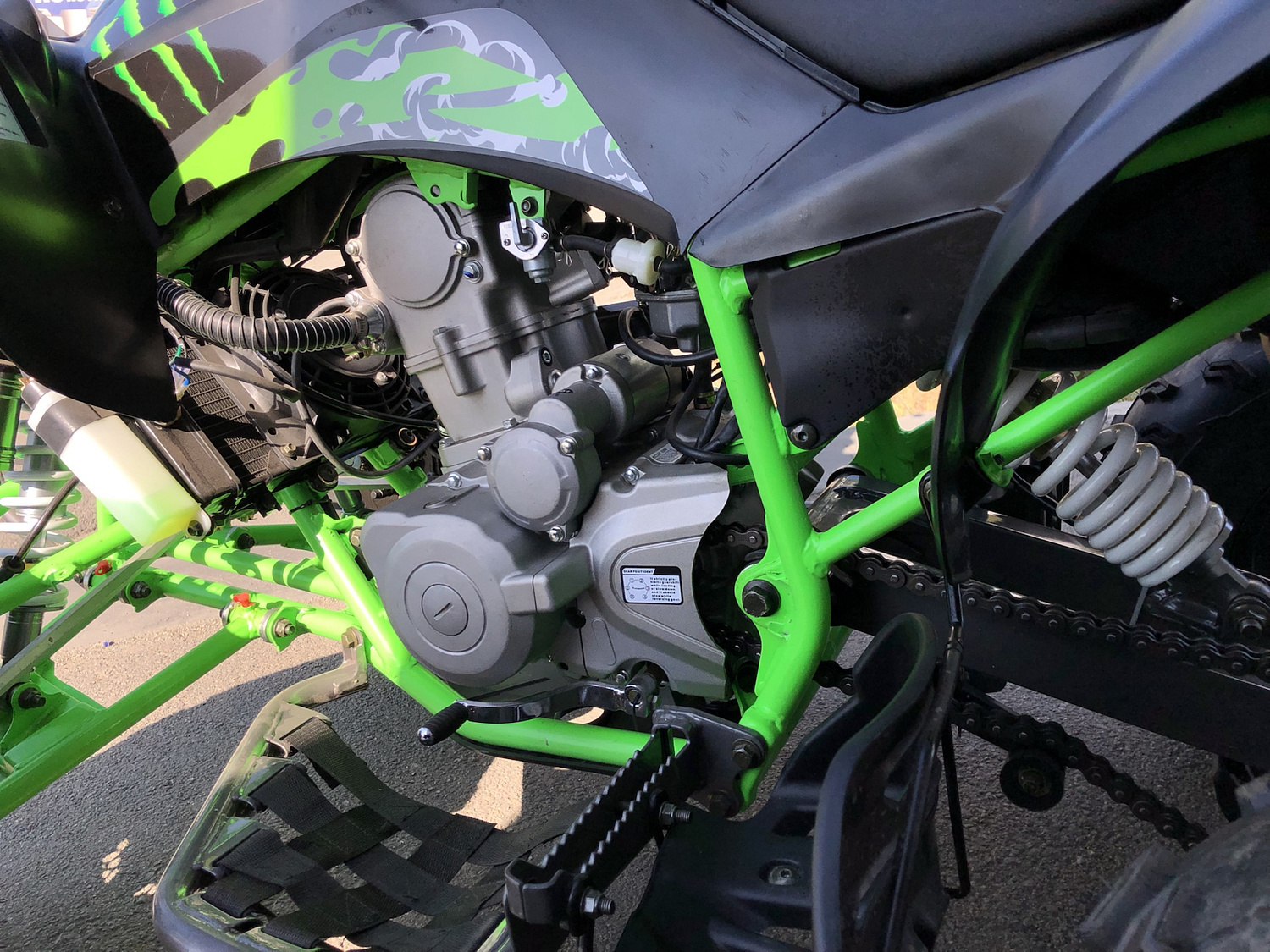 Квадроцикл PROMAX RAPTOR 300 NEW Monster в Краснодаре