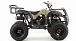 Квадроцикл MOTOLAND (МОТОЛЕНД) 200 ALL ROAD в Краснодаре
