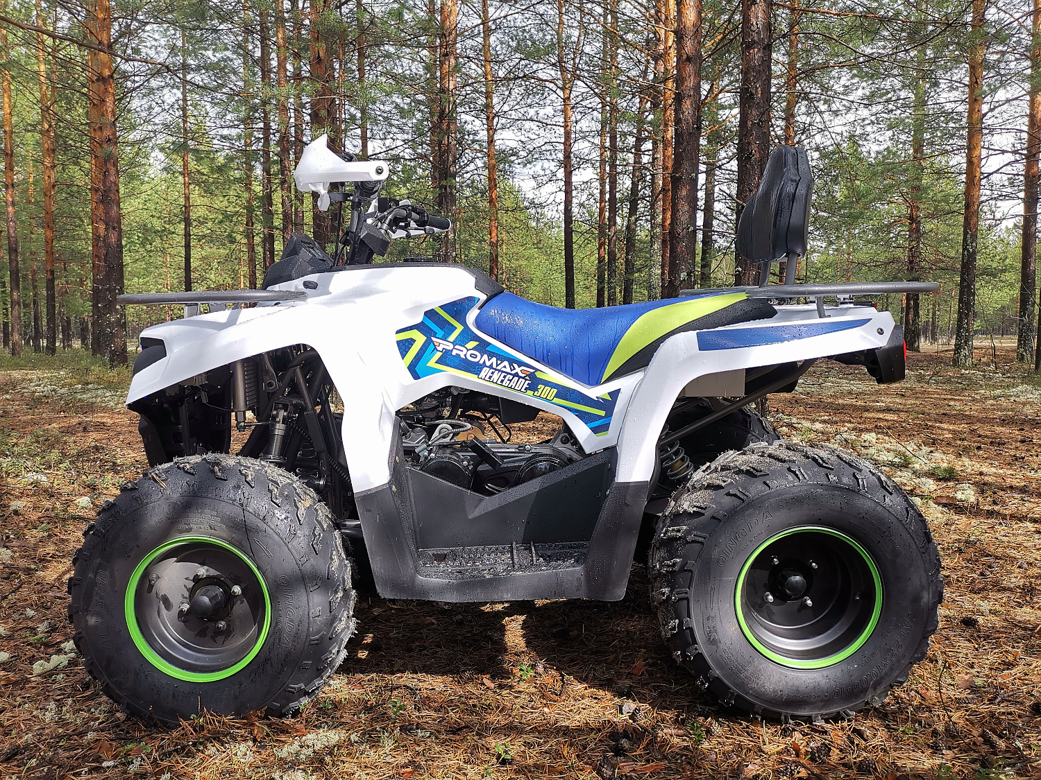 Квадроцикл PROMAX RENEGADE 280 (2025) в Краснодаре