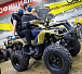 Квадроцикл PROMAX ATV 250 (2025) в Краснодаре