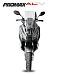 МаксиСкутер PROMAX-HONDA ADV 150 (49) EFI (Inspired by HONDA) в Краснодаре