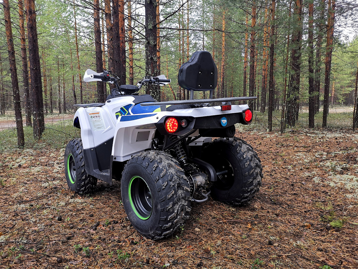 Квадроцикл PROMAX RENEGADE 280 (2025) в Краснодаре