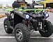 Квадроцикл PROMAX RENEGADE 280 WINCH PRO (2025) в Краснодаре