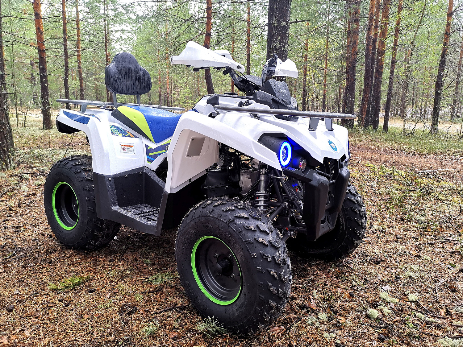 Квадроцикл PROMAX RENEGADE 280 (2025) в Краснодаре