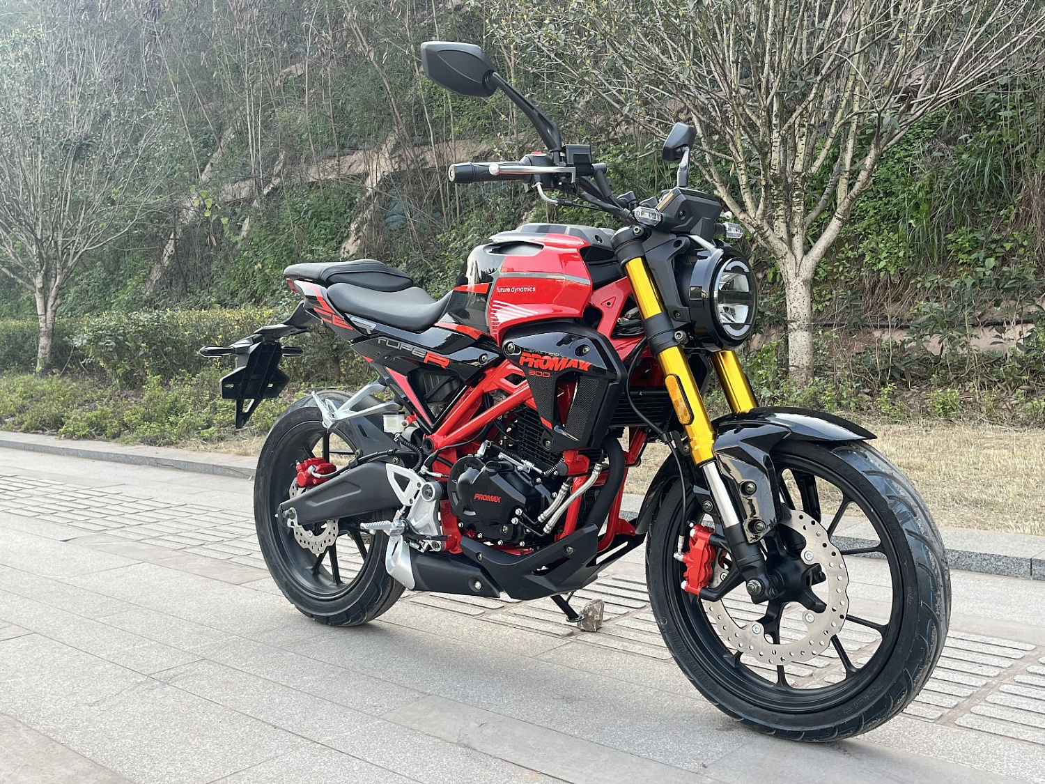 Мотоцикл PROMAX CB300 в Краснодаре