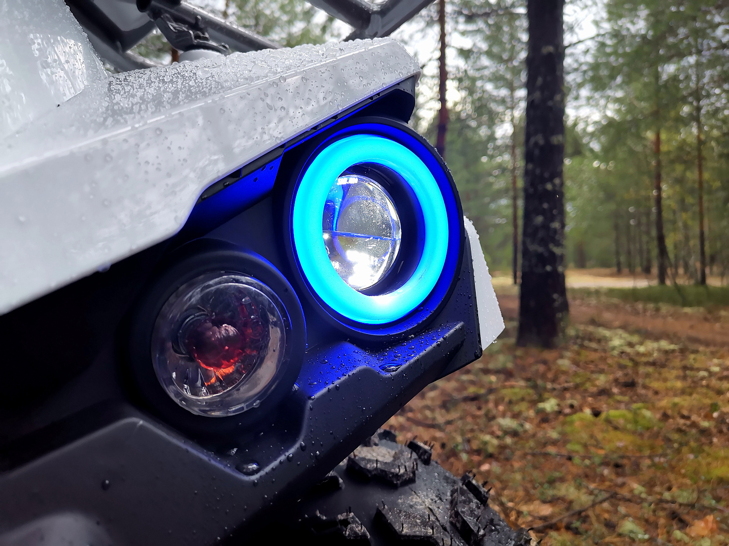 Квадроцикл PROMAX RENEGADE 280 (2025) в Краснодаре