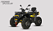 Квадроцикл PROMAX TAURUS 300 MAX-PRO LONG в Краснодаре